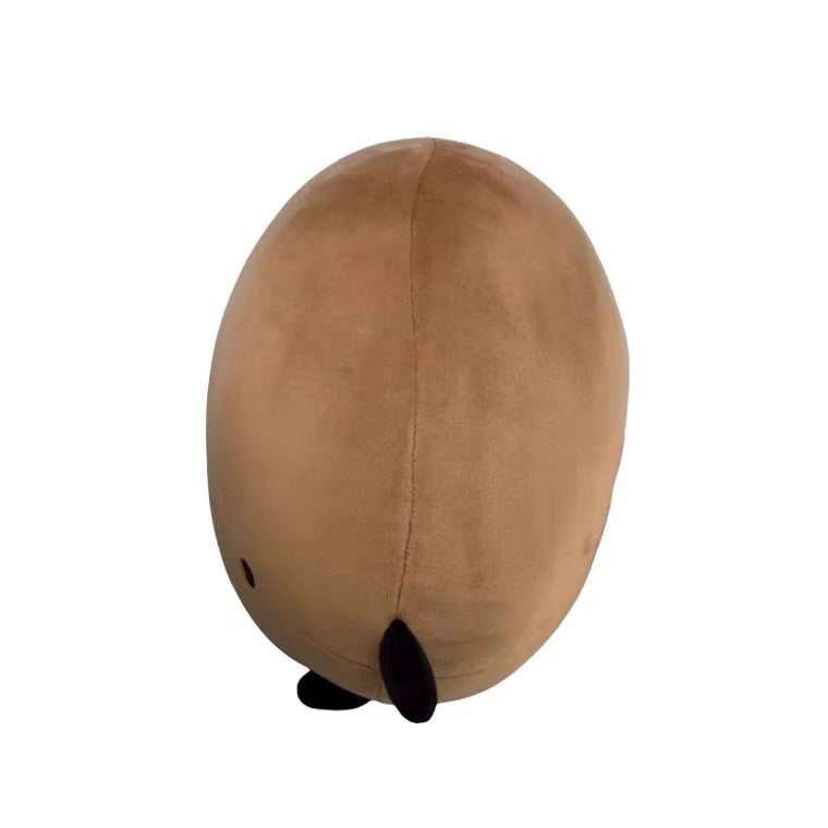Sad Potato Gift Pillow
